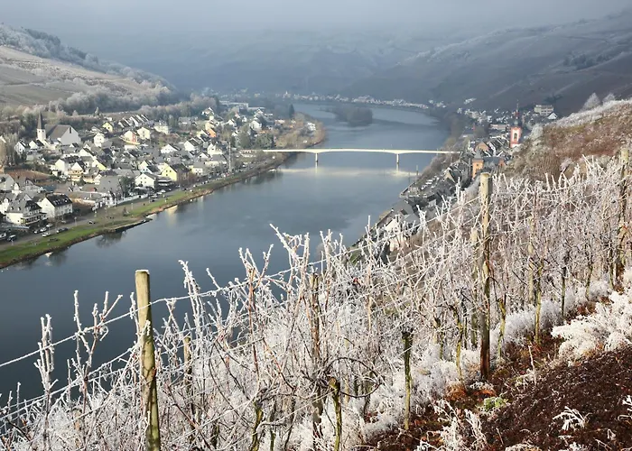 Lägenhet Ankerplatz Zell an der Mosel